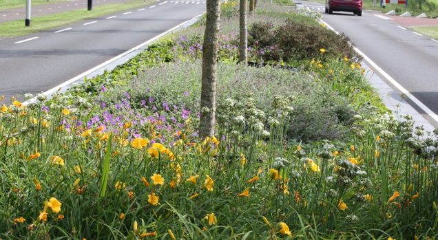Gemeente gaat communicatie over groenonderhoud verbeteren