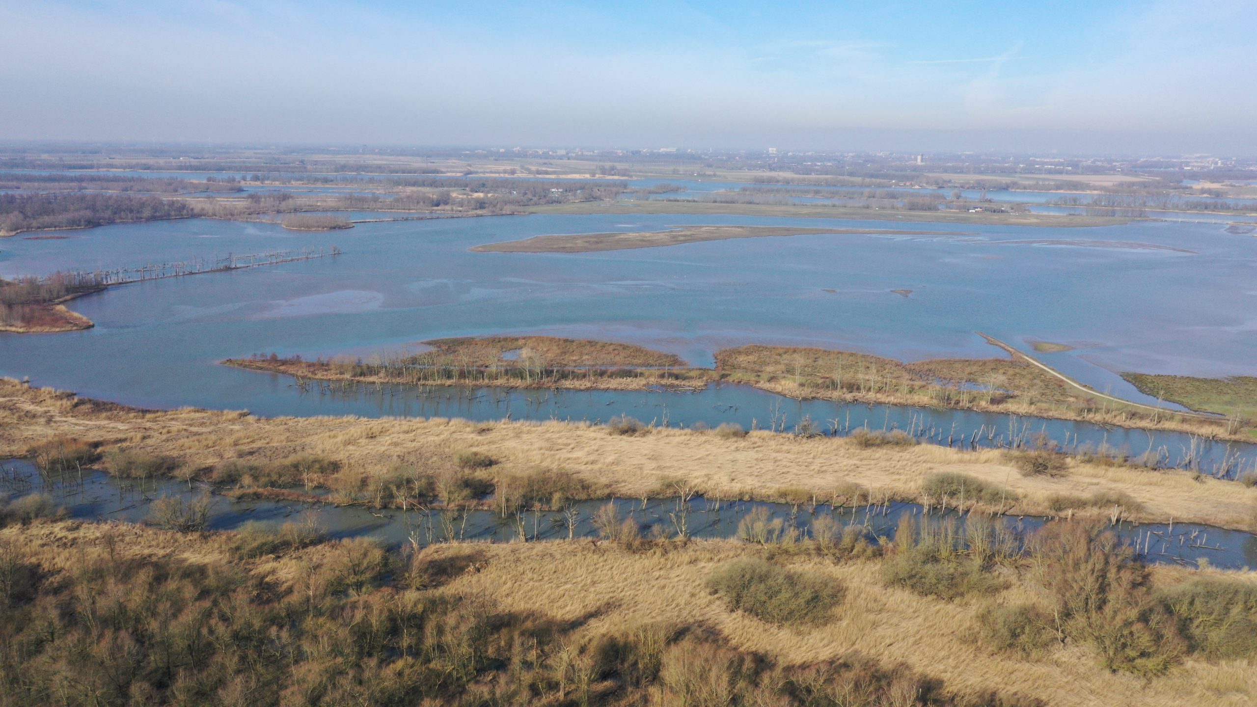 Varen door de Biesbosch: Watervogels van de winter