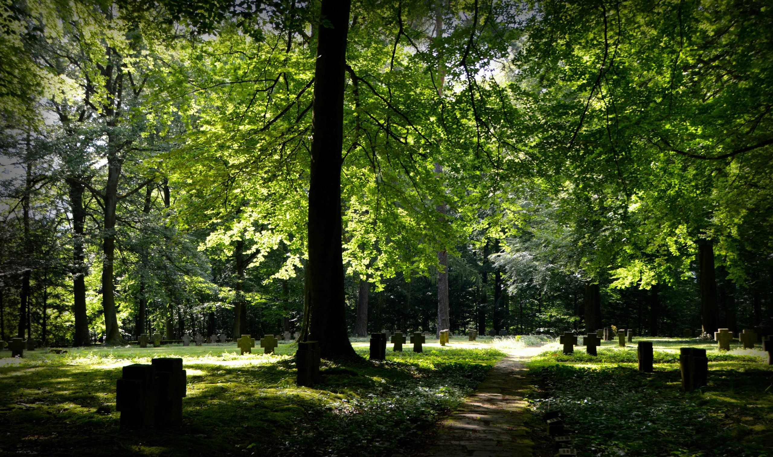 Initiatief natuurbgraafplaats naar volgende fase