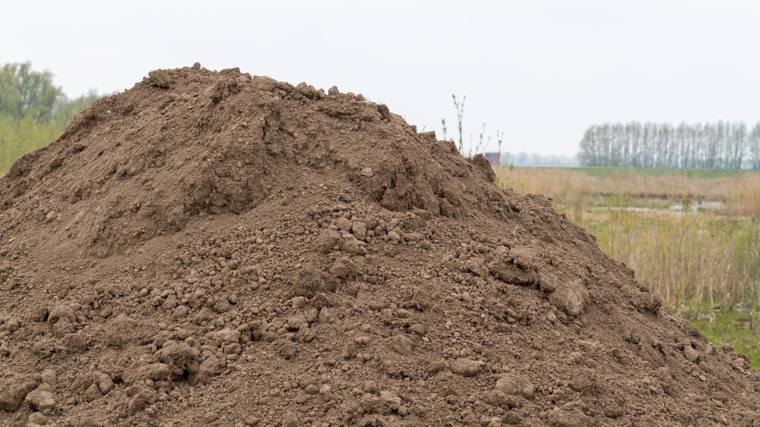 Rijkswaterstaat neemt geen maatregelen in de Noordwaard